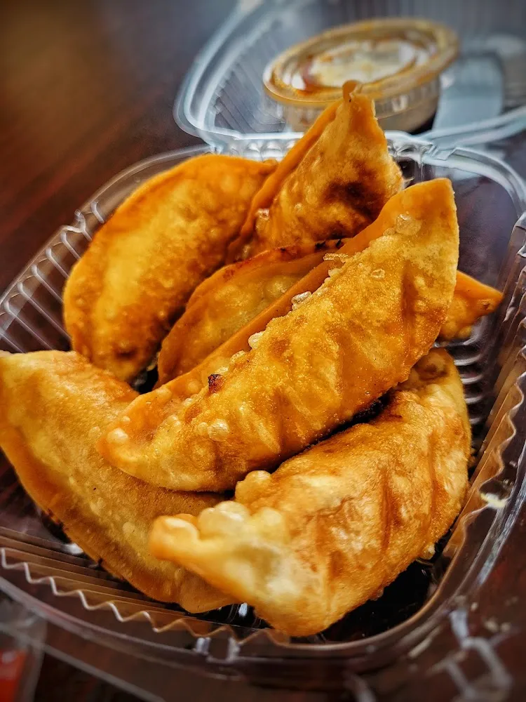 Fried Dumplings